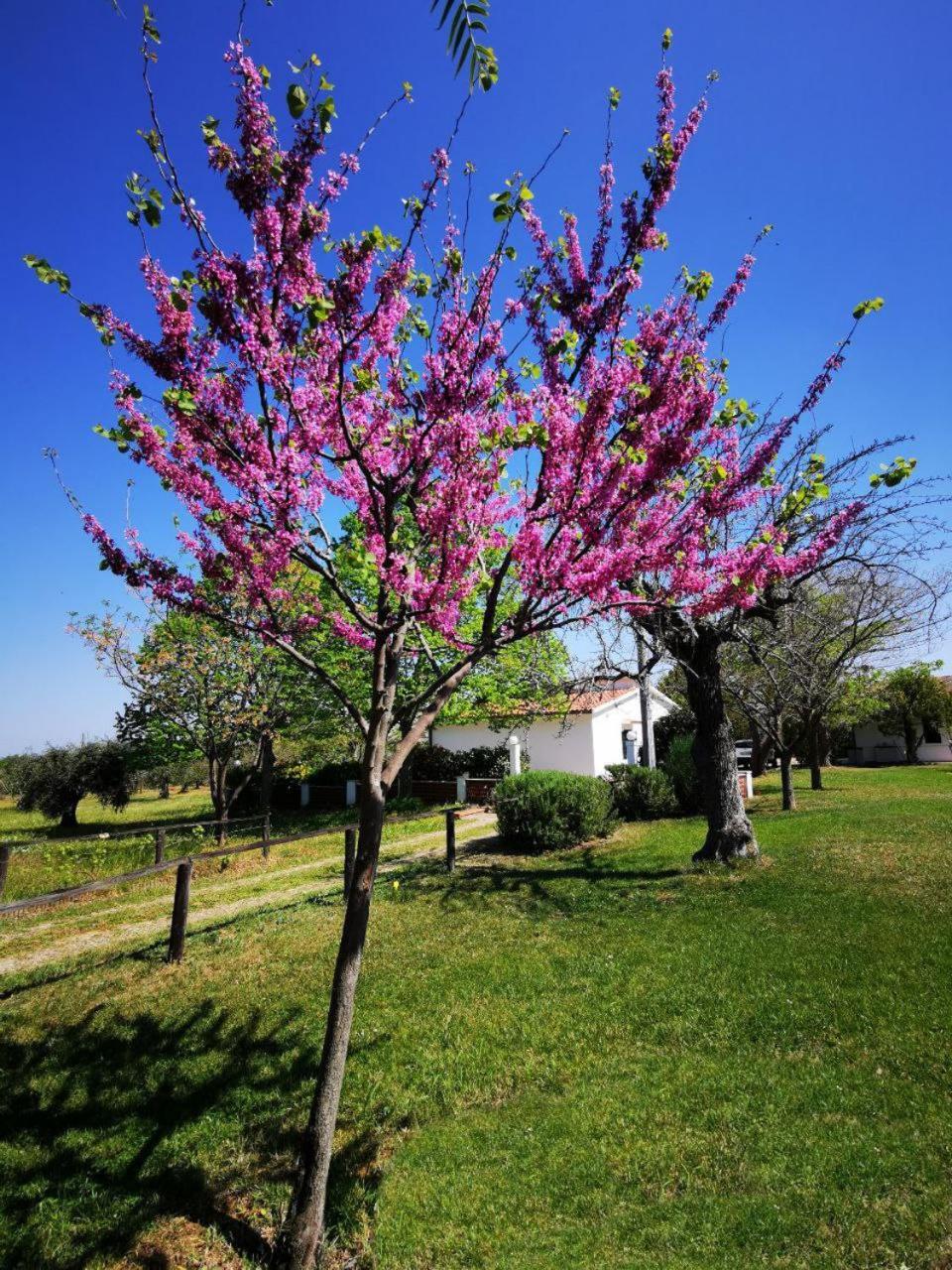 Casa Tonino Vila Pisticci Exterior foto